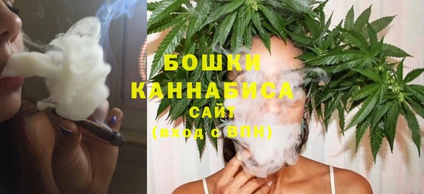 a pvp Дмитриев