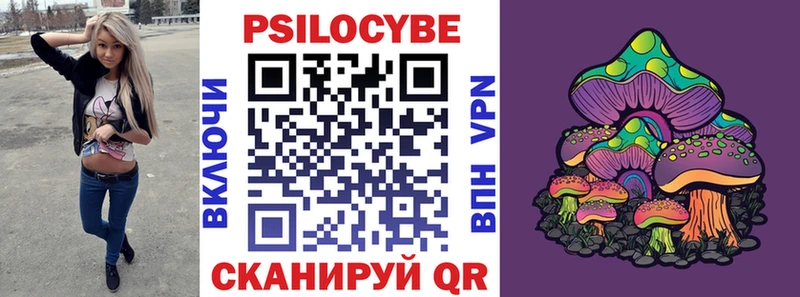 Псилоцибиновые грибы Psilocybine cubensis  Купить закладки  Джанкой 